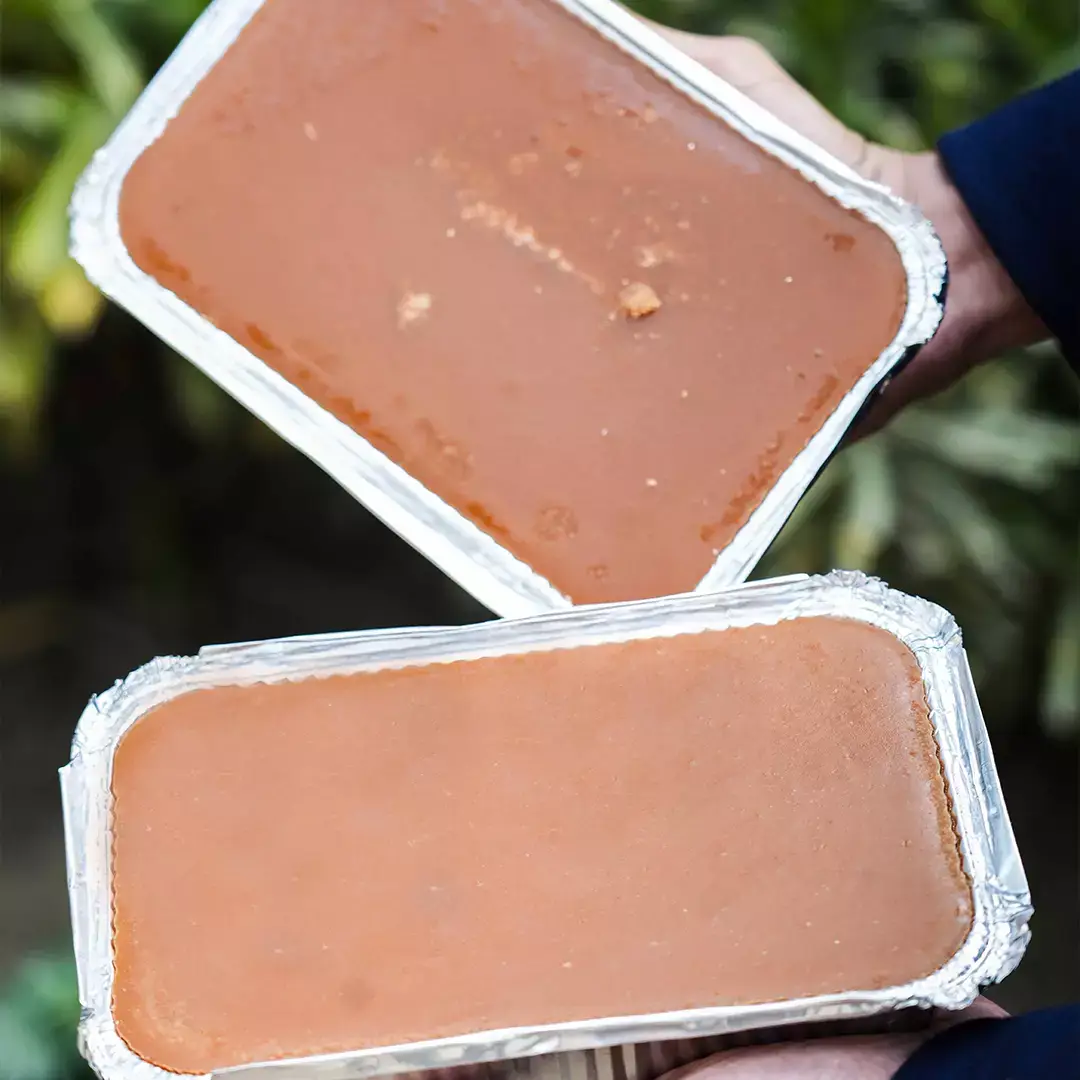 খেজুর গুড় (ফয়েল পাটালি) | Khajur gur (Fiol  Patali)